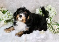 processed/7452b8a1-6a5d-45ec-aa67-33b726ded4ea/listing/7f2d5c41-09ac-45a4-9a99-efca938a446b/2c88fec3-97fe-4c1e-8983-1d0ca3c36aa0