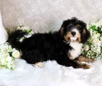 processed/7452b8a1-6a5d-45ec-aa67-33b726ded4ea/listing/7f2d5c41-09ac-45a4-9a99-efca938a446b/42639264-19e0-420d-906f-8b6d134e218c