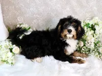 processed/7452b8a1-6a5d-45ec-aa67-33b726ded4ea/listing/7f2d5c41-09ac-45a4-9a99-efca938a446b/ac7e1bd9-953a-42bb-a9f4-a32f2c466e3d