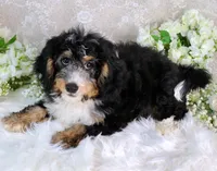 processed/7452b8a1-6a5d-45ec-aa67-33b726ded4ea/listing/7f2d5c41-09ac-45a4-9a99-efca938a446b/f5e7c99c-56e5-4802-a7e7-2270bc9d3e34