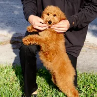 processed/7452b8a1-6a5d-45ec-aa67-33b726ded4ea/listing/8f57bd93-7e1e-44c4-a582-c5b10baa25e4/6b2e3d96-840a-4856-9311-3333047767d2