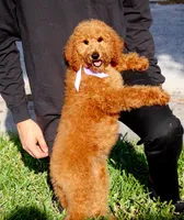 processed/7452b8a1-6a5d-45ec-aa67-33b726ded4ea/listing/8f57bd93-7e1e-44c4-a582-c5b10baa25e4/823b1315-3971-4b2c-8002-def463b782f8