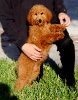 processed/7452b8a1-6a5d-45ec-aa67-33b726ded4ea/listing/8f57bd93-7e1e-44c4-a582-c5b10baa25e4/876e2d5f-3c23-40f4-a854-c25c8f6bde9f