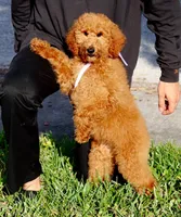 processed/7452b8a1-6a5d-45ec-aa67-33b726ded4ea/listing/8f57bd93-7e1e-44c4-a582-c5b10baa25e4/8a000b9a-c865-4dc3-b14b-69b95b2c09ec