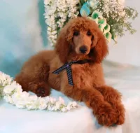 processed/7452b8a1-6a5d-45ec-aa67-33b726ded4ea/listing/b939ea20-4099-4a5d-8bfe-9587a92e5711/64febb00-a3f7-4245-94b5-cc4e4bc94f98