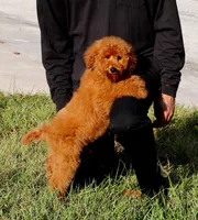 processed/7452b8a1-6a5d-45ec-aa67-33b726ded4ea/listing/bf5bd6cd-9841-468d-8a71-22d10a9c0c2f/2a0d6012-d768-4e8c-a540-bd055c227ef8