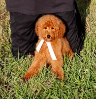 processed/7452b8a1-6a5d-45ec-aa67-33b726ded4ea/listing/bf5bd6cd-9841-468d-8a71-22d10a9c0c2f/3a5f9f53-abfc-4546-a693-e8660c860176