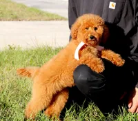 processed/7452b8a1-6a5d-45ec-aa67-33b726ded4ea/listing/bf5bd6cd-9841-468d-8a71-22d10a9c0c2f/5dc74e92-3633-4517-8663-8ba880072307