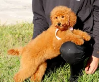 processed/7452b8a1-6a5d-45ec-aa67-33b726ded4ea/listing/bf5bd6cd-9841-468d-8a71-22d10a9c0c2f/76c0a411-77ed-4cb4-9a86-ffcbc4ca4212