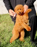 processed/7452b8a1-6a5d-45ec-aa67-33b726ded4ea/listing/bf5bd6cd-9841-468d-8a71-22d10a9c0c2f/7f97cc63-e032-44d9-a60f-bf6694fea360