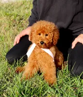 processed/7452b8a1-6a5d-45ec-aa67-33b726ded4ea/listing/bf5bd6cd-9841-468d-8a71-22d10a9c0c2f/e76c923c-ccf6-4050-a0c8-0cecdf44c0cf