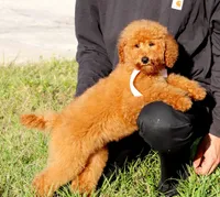 processed/7452b8a1-6a5d-45ec-aa67-33b726ded4ea/listing/bf5bd6cd-9841-468d-8a71-22d10a9c0c2f/f53c598e-cc00-408c-8f2b-e7d733af9be5