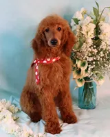 processed/7452b8a1-6a5d-45ec-aa67-33b726ded4ea/listing/e0feb561-660d-4d6f-af1d-6ba6f8ba8d30/045e6c92-f396-4eef-a8f9-42c4d7fb2c61