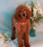 processed/7452b8a1-6a5d-45ec-aa67-33b726ded4ea/listing/e0feb561-660d-4d6f-af1d-6ba6f8ba8d30/4bcfc4fe-3ce5-4dcd-a059-70766d22b3c5