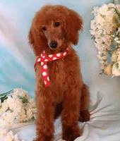 processed/7452b8a1-6a5d-45ec-aa67-33b726ded4ea/listing/e0feb561-660d-4d6f-af1d-6ba6f8ba8d30/8cacf175-6787-4e64-ba15-8b0db00e7f44