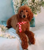 processed/7452b8a1-6a5d-45ec-aa67-33b726ded4ea/listing/e0feb561-660d-4d6f-af1d-6ba6f8ba8d30/cfa7208c-8402-4871-bd6d-9c5e9e4427a3