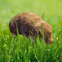 processed/74645bd3-c3ae-450f-9812-03de744101a5/listing/081b4e7b-f3d7-4f61-8bcf-caccb5dc4c4c/afe5b440-b09d-4c0e-a86d-78366032b78f