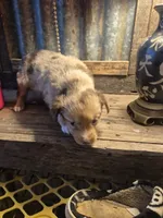 processed/74645bd3-c3ae-450f-9812-03de744101a5/listing/589d201a-4de6-495f-9337-0eb576975de8/2bff88e5-dc6b-4767-8c80-681e45658693