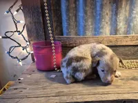 processed/74645bd3-c3ae-450f-9812-03de744101a5/listing/589d201a-4de6-495f-9337-0eb576975de8/c6103e7b-f540-450d-a1d1-0e7bf460c2bf