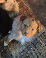 processed/74645bd3-c3ae-450f-9812-03de744101a5/listing/589d201a-4de6-495f-9337-0eb576975de8/f33ff53a-1da9-45b6-85f7-eb01e330171e