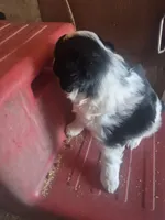 processed/74645bd3-c3ae-450f-9812-03de744101a5/listing/9c21b53c-5d8b-426a-91a4-26df5b462545/04fd0e2d-3f17-4251-85d7-4695382dca77