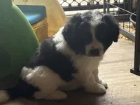 processed/74645bd3-c3ae-450f-9812-03de744101a5/listing/9c21b53c-5d8b-426a-91a4-26df5b462545/f5a69034-c995-4961-8f2f-d618b402cc7f