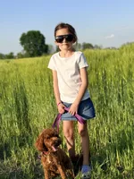 Penny, a female Miniature Goldendoodle for sale in Millersburg, OH – 3 of 5