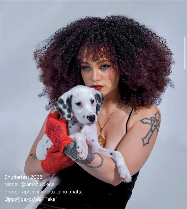 Taka – Dalmatian puppy for sale in Highland, IL