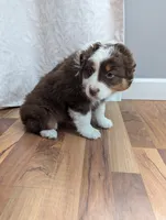 processed/746dd676-1103-4bfb-ae85-3b5bd6423e02/listing/2ca1fb46-8b77-4617-8b5f-16230818b92a/3767c993-2f42-44e2-b693-7c604b74a30c