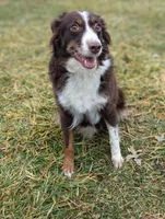 processed/746dd676-1103-4bfb-ae85-3b5bd6423e02/listing/2ca1fb46-8b77-4617-8b5f-16230818b92a/5504fbd4-560a-4142-98c4-1cd18730985b