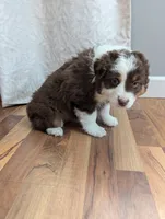 processed/746dd676-1103-4bfb-ae85-3b5bd6423e02/listing/2ca1fb46-8b77-4617-8b5f-16230818b92a/8474d7b2-11d8-4712-bf49-887578e782bc