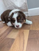 processed/746dd676-1103-4bfb-ae85-3b5bd6423e02/listing/2ca1fb46-8b77-4617-8b5f-16230818b92a/c18dfd25-d0bc-41d1-9837-06717ce2ddbb