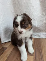 processed/746dd676-1103-4bfb-ae85-3b5bd6423e02/listing/2ca1fb46-8b77-4617-8b5f-16230818b92a/e683df96-16cf-481a-92ae-9db88896e0d0