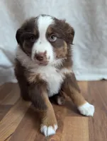 processed/746dd676-1103-4bfb-ae85-3b5bd6423e02/listing/fea27f33-2bc3-4ab4-adb0-e122ba966097/0464bb7d-f6ea-485d-9da1-efd594fb15d5