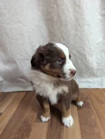 processed/746dd676-1103-4bfb-ae85-3b5bd6423e02/listing/fea27f33-2bc3-4ab4-adb0-e122ba966097/08425ea2-0bf2-43d2-b530-1aab8e38dbbe