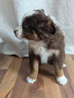 processed/746dd676-1103-4bfb-ae85-3b5bd6423e02/listing/fea27f33-2bc3-4ab4-adb0-e122ba966097/35d40e57-ec15-47ee-9b04-19ed20a31e77