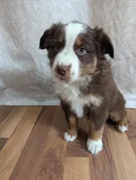 processed/746dd676-1103-4bfb-ae85-3b5bd6423e02/listing/fea27f33-2bc3-4ab4-adb0-e122ba966097/4688f5ee-452b-468d-841c-68d7219f1ce8