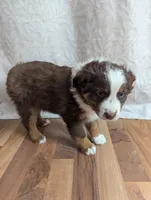 processed/746dd676-1103-4bfb-ae85-3b5bd6423e02/listing/fea27f33-2bc3-4ab4-adb0-e122ba966097/4b1ced83-68a2-46b1-b2df-4c76528ee231