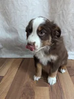 processed/746dd676-1103-4bfb-ae85-3b5bd6423e02/listing/fea27f33-2bc3-4ab4-adb0-e122ba966097/55d3cb06-38a6-4ad6-b7f6-43b376e56e43