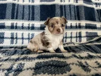 processed/7475bf2d-e19e-4f4d-9308-3042a24e2aed/facility/10956d66-e57c-45e1-985b-f7f0f5f5c93e