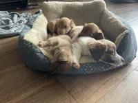 processed/7475bf2d-e19e-4f4d-9308-3042a24e2aed/facility/ad5df043-c745-4bb3-848a-fa2503eb33ea