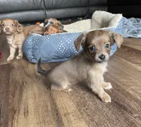 processed/7475bf2d-e19e-4f4d-9308-3042a24e2aed/facility/efa6c601-11e5-4ad3-b94e-5dd0f046ef8a