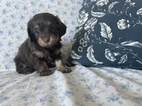 processed/7475bf2d-e19e-4f4d-9308-3042a24e2aed/listing/132952ab-76e9-4ed9-a3dc-bcb693dd0ed6/44096e6b-6a4d-4a91-bb5a-1f0d558f683a