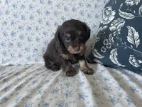 processed/7475bf2d-e19e-4f4d-9308-3042a24e2aed/listing/132952ab-76e9-4ed9-a3dc-bcb693dd0ed6/c4ee7dc2-eb31-4ad8-8730-897384a4db14