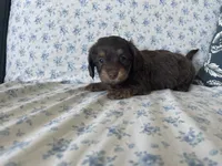 processed/7475bf2d-e19e-4f4d-9308-3042a24e2aed/listing/132952ab-76e9-4ed9-a3dc-bcb693dd0ed6/d7eefad6-0771-4bcb-893c-860d500d5022