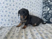 processed/7475bf2d-e19e-4f4d-9308-3042a24e2aed/listing/c994c962-814e-4636-9e05-90f32c064e1e/3049f5ed-b22c-4020-a785-90402abb128a