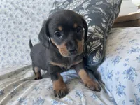 processed/7475bf2d-e19e-4f4d-9308-3042a24e2aed/listing/c994c962-814e-4636-9e05-90f32c064e1e/612fba08-ec15-487d-b2ce-d314f09e6209