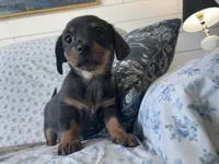 processed/7475bf2d-e19e-4f4d-9308-3042a24e2aed/listing/c994c962-814e-4636-9e05-90f32c064e1e/b21801ab-d4ce-4192-b784-13d0263ebca9