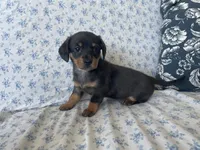 processed/7475bf2d-e19e-4f4d-9308-3042a24e2aed/listing/c994c962-814e-4636-9e05-90f32c064e1e/c4bd64e0-3b61-4114-a95f-d7adfdf70787