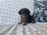 processed/7475bf2d-e19e-4f4d-9308-3042a24e2aed/listing/c994c962-814e-4636-9e05-90f32c064e1e/dbcc5ae4-32e4-4e33-9703-92c6df745103